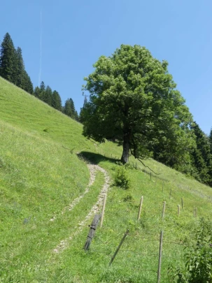 les-adannes-rodomont-rougemont-200