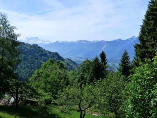 les-avants-les-avants-112