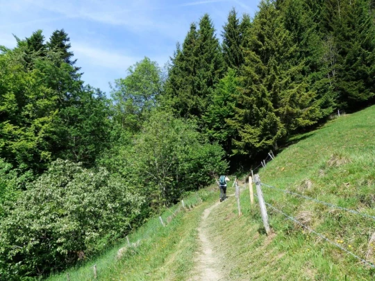 les-avants-les-avants-114