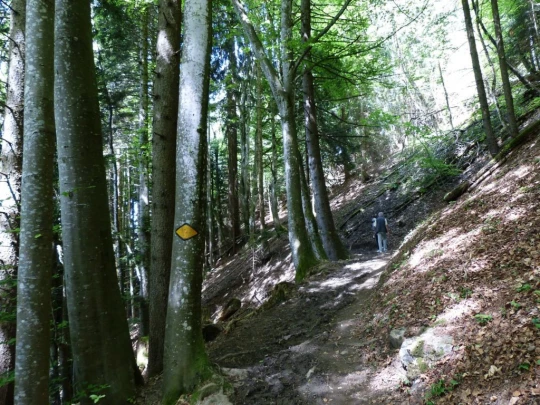 les-avants-les-avants-120
