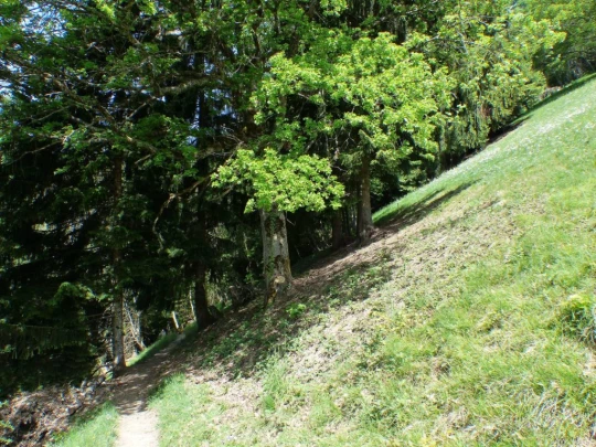 les-avants-les-avants-126