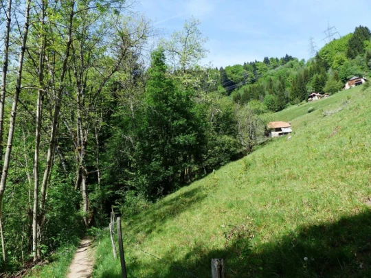 les-avants-les-avants-130