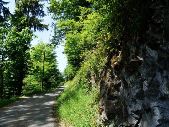 les-avants-les-avants-136