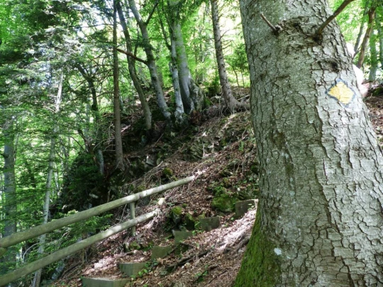 les-avants-les-avants-138