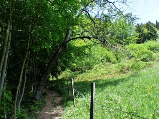les-avants-les-avants-141