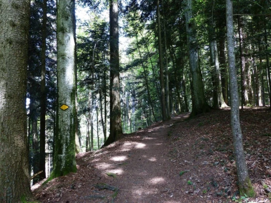 les-avants-les-avants-149