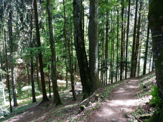 les-avants-les-avants-151