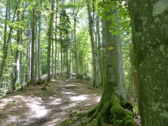 les-avants-les-avants-156