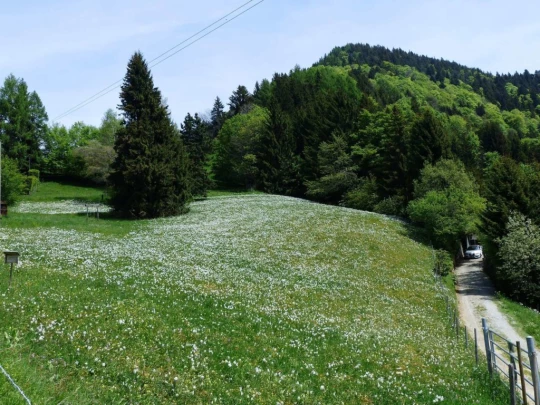 les-avants-les-avants-161