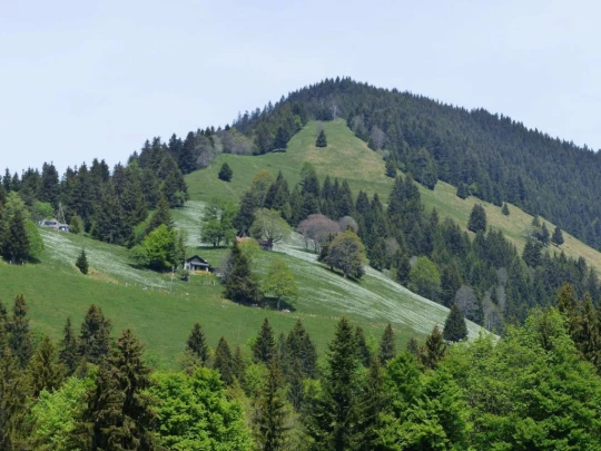 les-avants-les-avants-164