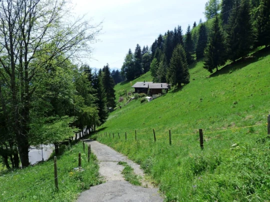 les-avants-les-avants-171