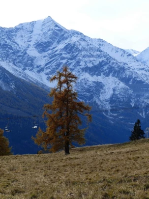 les-collons-veysonnaz-108