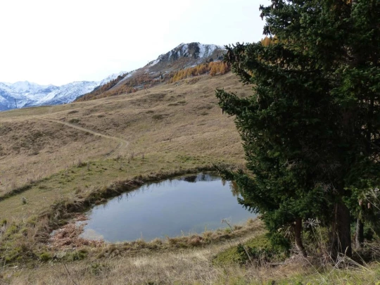 les-collons-veysonnaz-116