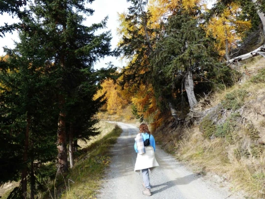 les-collons-veysonnaz-117