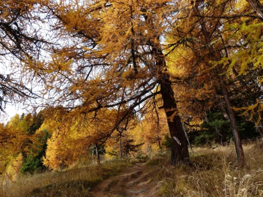 les-collons-veysonnaz-118