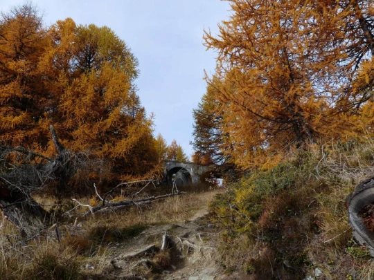 les-collons-veysonnaz-120