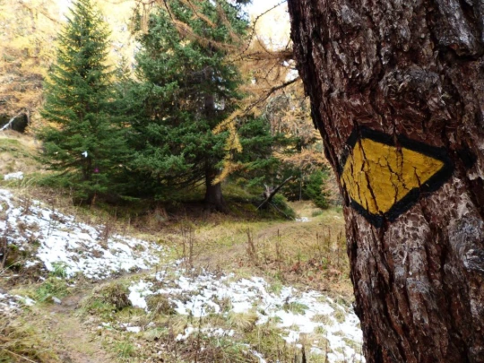 les-collons-veysonnaz-122