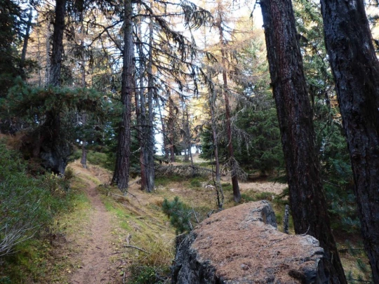 les-collons-veysonnaz-123