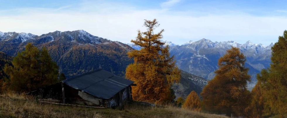 les-collons-veysonnaz-132