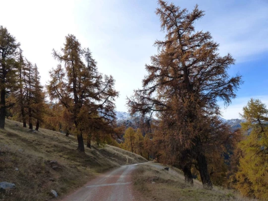 les-collons-veysonnaz-134