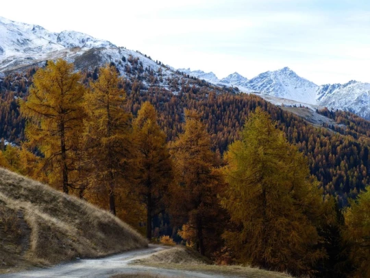 les-collons-veysonnaz-135