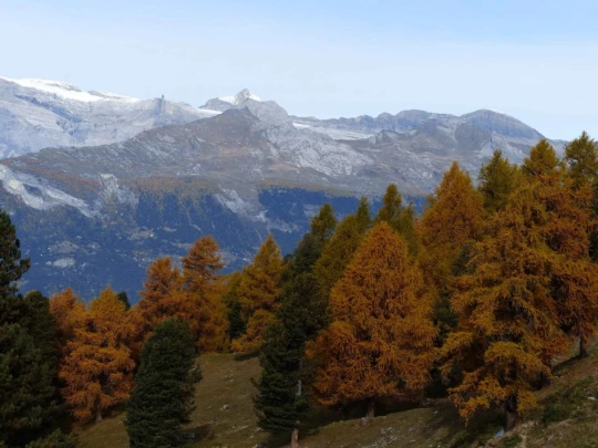 les-collons-veysonnaz-137