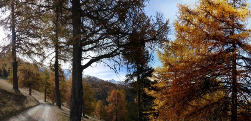 les-collons-veysonnaz-138