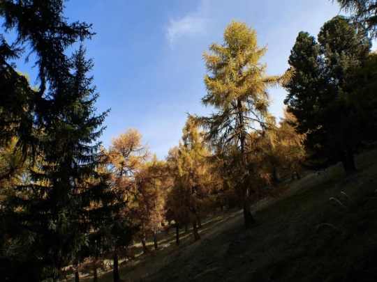 les-collons-veysonnaz-141