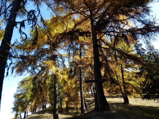 les-collons-veysonnaz-143