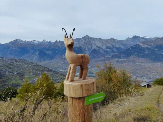 les-collons-veysonnaz-154