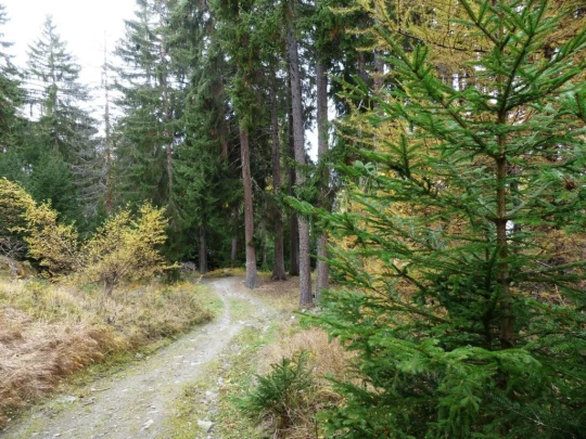 les-collons-veysonnaz-161