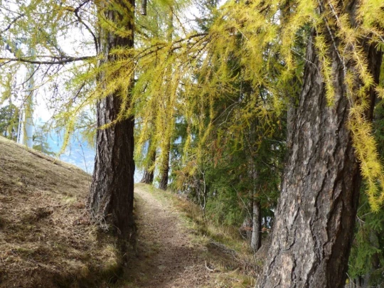 les-collons-veysonnaz-165