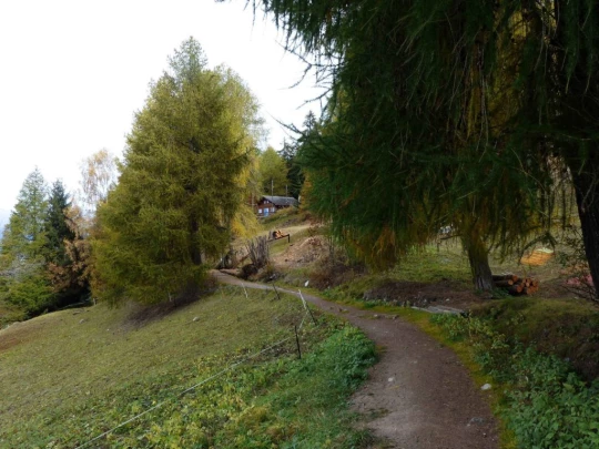 les-collons-veysonnaz-168