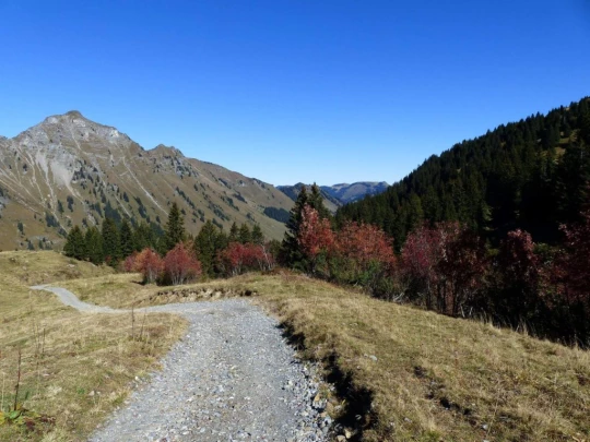 les-crosets-portes-du-soleil-morgins-123