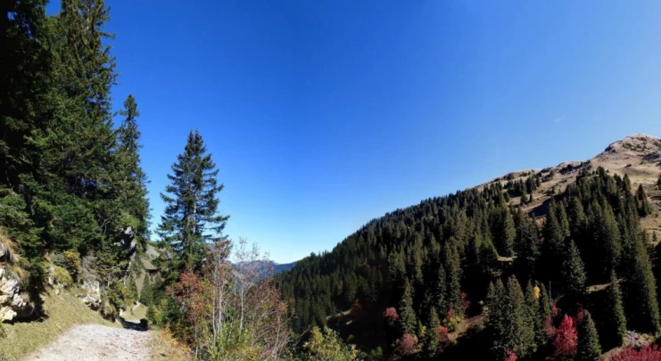 les-crosets-portes-du-soleil-morgins-126