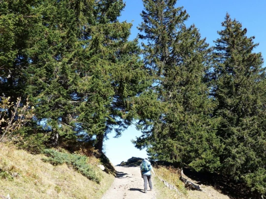 les-crosets-portes-du-soleil-morgins-132