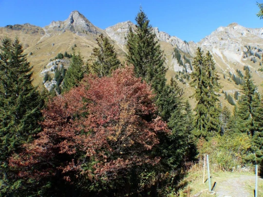 les-crosets-portes-du-soleil-morgins-140