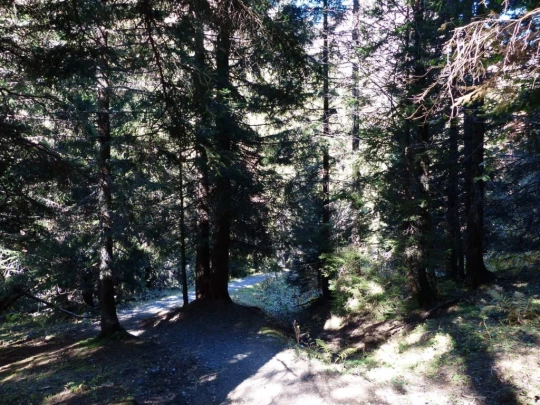 les-crosets-portes-du-soleil-morgins-141