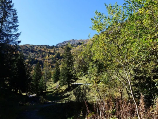 les-crosets-portes-du-soleil-morgins-143