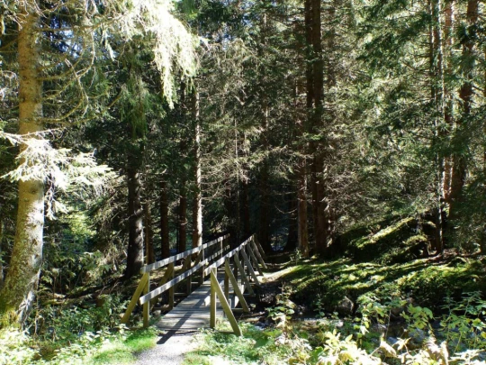 les-crosets-portes-du-soleil-morgins-146