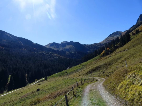 les-crosets-portes-du-soleil-morgins-164