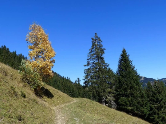 les-crosets-portes-du-soleil-morgins-165