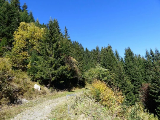 les-crosets-portes-du-soleil-morgins-166