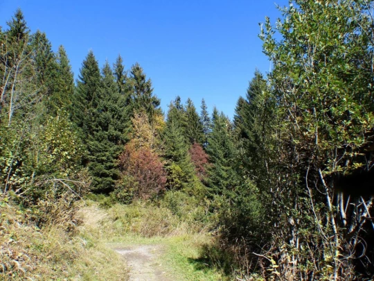 les-crosets-portes-du-soleil-morgins-169