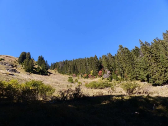 les-crosets-portes-du-soleil-morgins-173