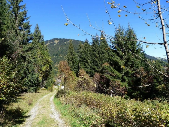 les-crosets-portes-du-soleil-morgins-181