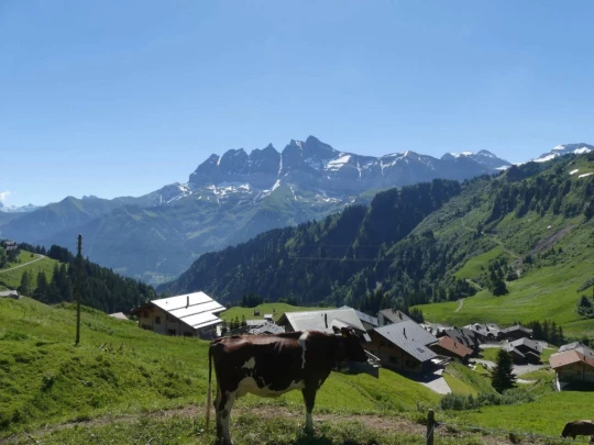 les-crosets-savolaire-morgins-102