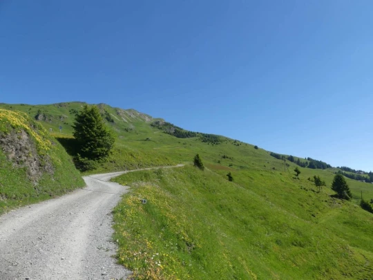 les-crosets-savolaire-morgins-104