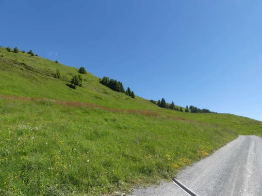 les-crosets-savolaire-morgins-110