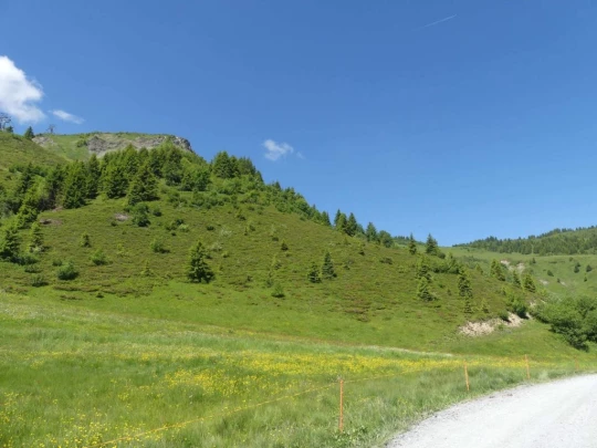 les-crosets-savolaire-morgins-129